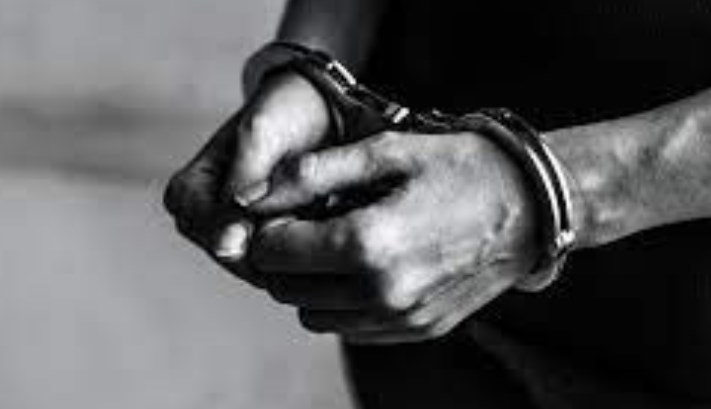 Two TRF hybrid terrorists arrested in Srinagar: Police